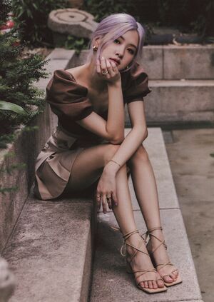 Photo : rose