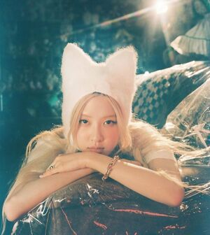 Photo : rose