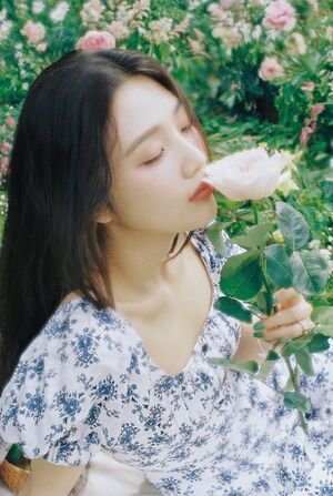 Photo : Joy Red Velvet