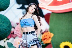 Photo : Joy