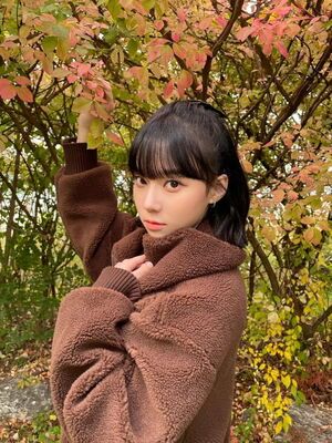 Photo : Winter