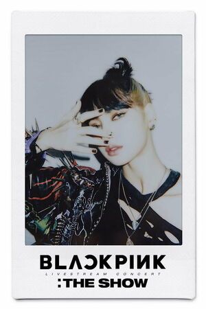 Photo : BLACKPINK YouTube Membership Community Update by Lisa