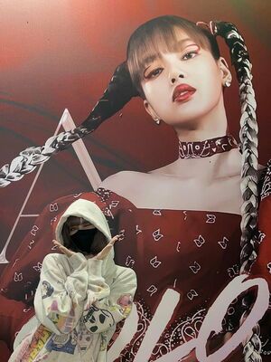 Photo : Lisa Weverse Update