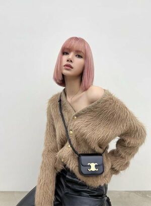 Photo : Lisa for CELINE