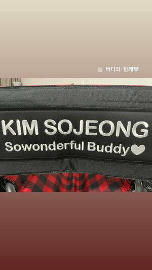 Photo : Sowon Instagram Story