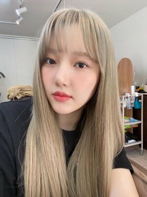 Photo : Yerin Universe FNS Update