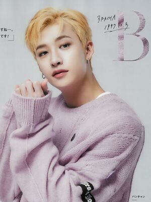 Photo : Bang Chan - Stray Kids