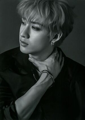 Photo : Bang Chan