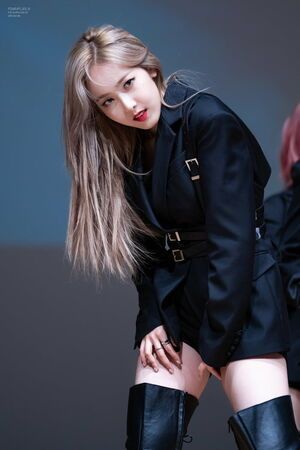 Photo : SinB