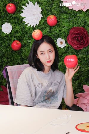 Photo : SinB