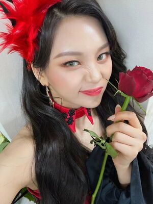 Photo : Umji Universe FNS Update