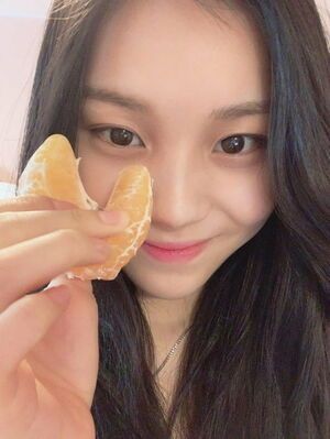 Photo : Daily dose of Umji