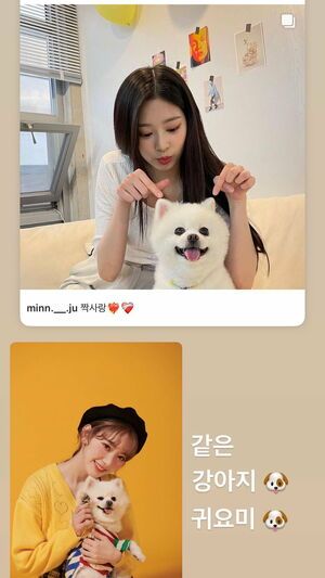 Photo : 210627 Miyawaki Sakura Instagram Story Update