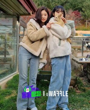 Photo : 211211 - Studio Waffle Instagram Update with Choi Yena & Kim Minju