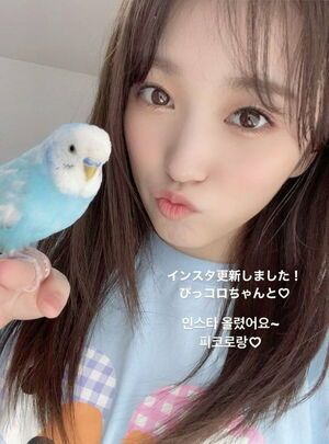 Photo : Nako and her parrot