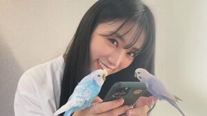 Photo : 211113 - minnano_zoo_ntv Twitter Update with Yabuki Nako & her 2 parakeets