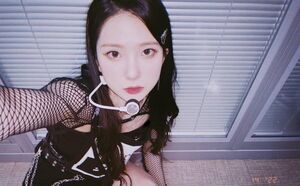 Photo : Yujin