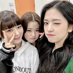 Photo : 211218 - IVE Official Twitter Update with An Yujin & Jang Wonyoung (with Rei)
