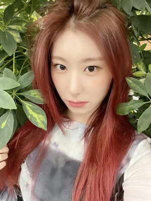 Photo : Chaeryeong