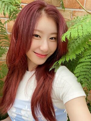 Photo : Chaeryeong