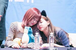 Photo : Sleepy Momo & Nayeon