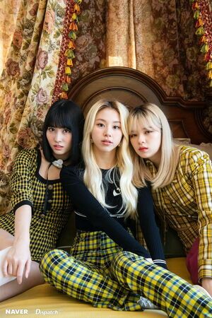 Photo : Momo, Chaeyoung, Jeongyeon