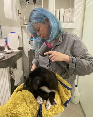 Photo : Yuki_2021222 Instagram Update - Jeongyeon with her blue hair