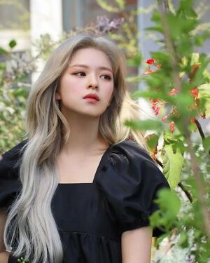 Photo : More & more Jeongyeon