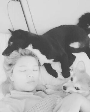 Photo : Yuki_2021222 Instagram Update - Jeongyeon asleep with her dogs