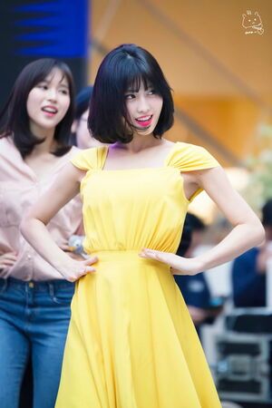 Photo : Momo