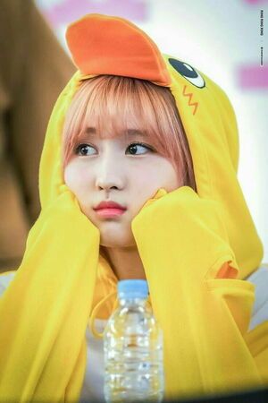 Photo : Duck Momo