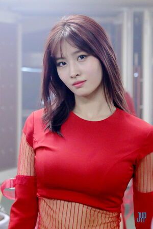 Photo : Momo