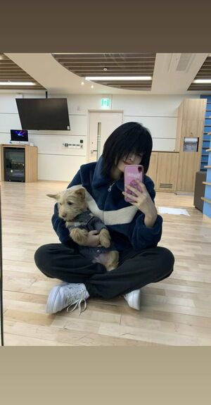 Photo : Momo and Boo