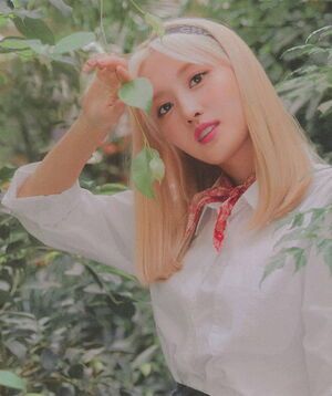 Photo : Momo