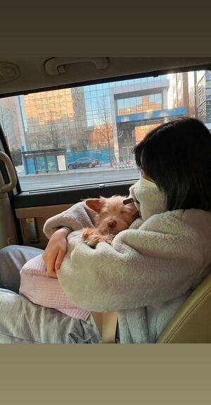 Photo : Momo and Dobby