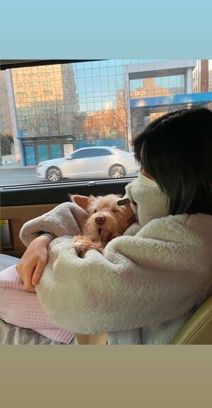 Photo : Momo and Dobby