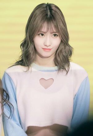 Photo : Momo