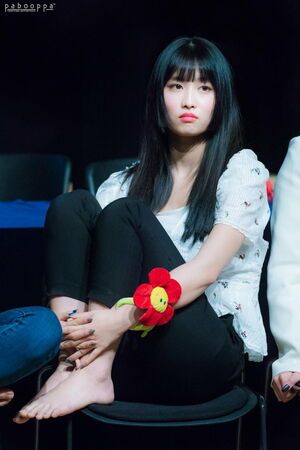 Photo : Momo