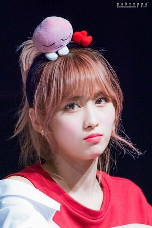 Photo : Momo