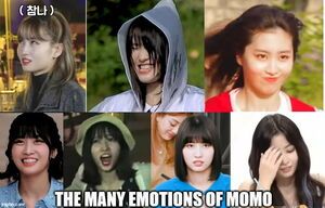 Photo : Momo has the best expressions