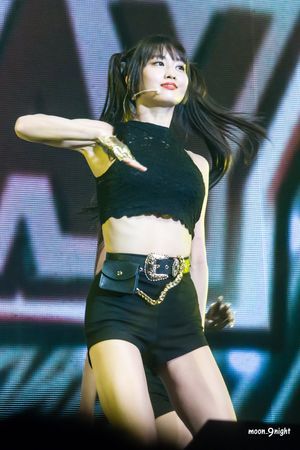 Photo : Momo with ponytails!