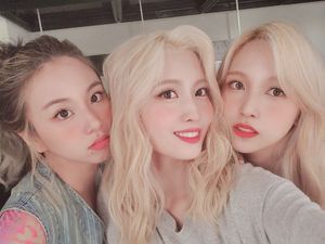 Photo : Chaeyoung, Momo & Mina