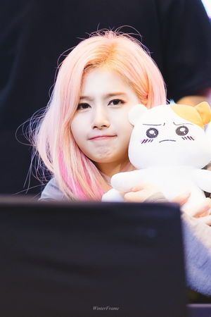 Photo : Happy Sana day!!