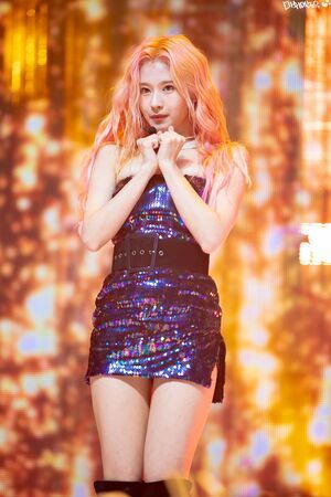 Photo : Sana
