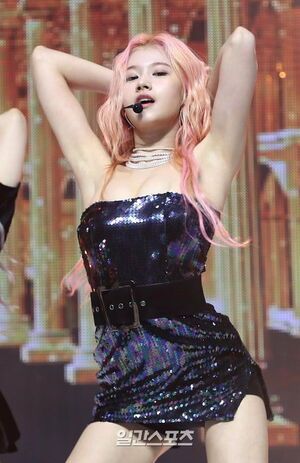Photo : Sana