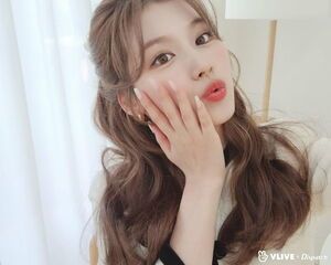Photo : Sana