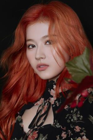 Photo : TWICE - Sana