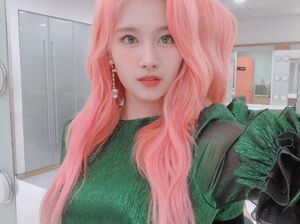Photo : Sana