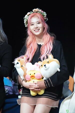 Photo : Sana