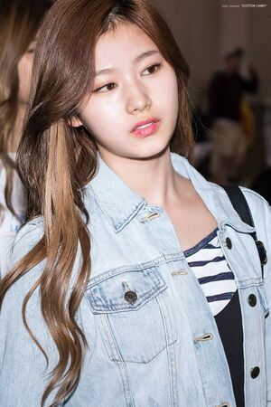 Photo : Sana